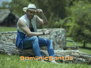 DomiinicSantos