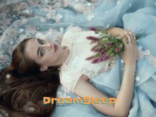 DreamSleep