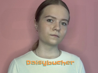 Daisybucher
