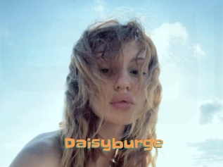 Daisyburge