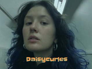 Daisycurles