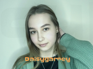 Daisygarney