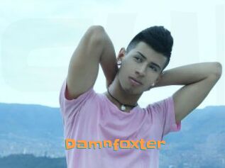 Damnfoxter