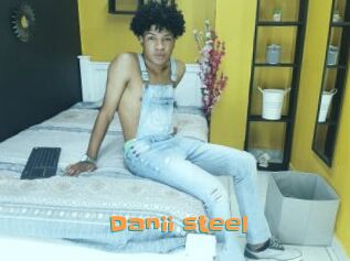 Danii_steel