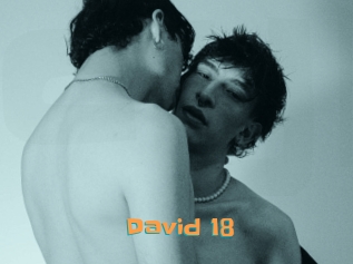 david_18 Cyberhuren
