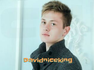 Davidniceking