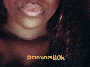 Domina110k