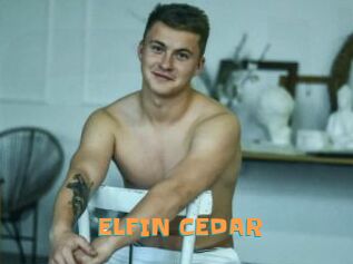 ELFIN_CEDAR