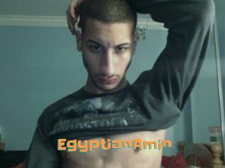 EgyptianAmin