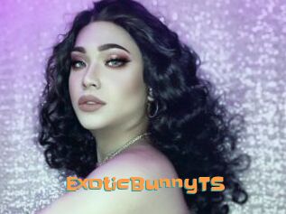 ExoticBunnyTS
