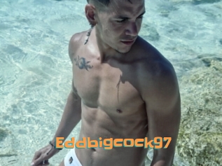 Eddbigcock97