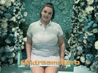 Elektraamotaro