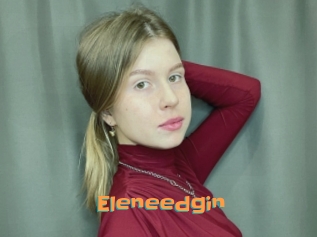 Eleneedgin