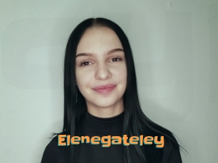Elenegateley