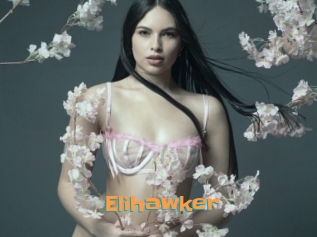 Elihawker