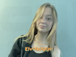 Elvabigge