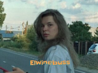 Elwinebuss