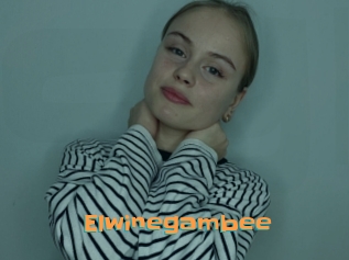 Elwinegambee