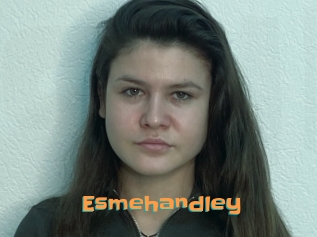 Esmehandley