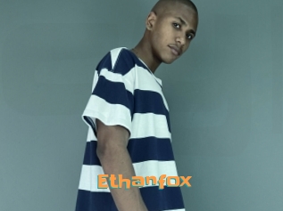 ethanfox Cyberhuren