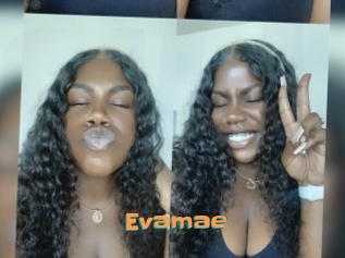 Evamae