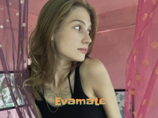 Evamate
