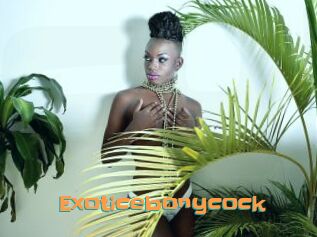 Exoticebonycock