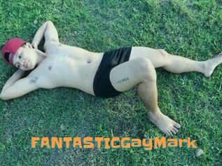 FANTASTICGayMark