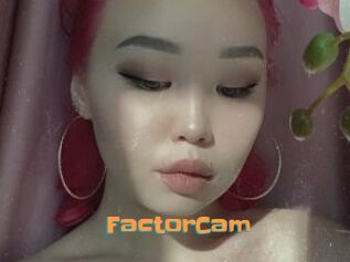 FactorCam