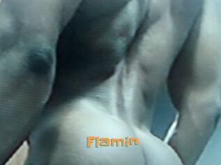 Flamin