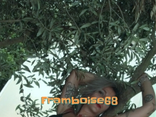 Framboise68