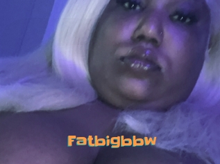 Fatbigbbw