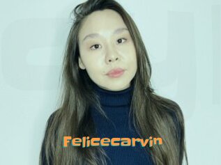 Felicecarvin