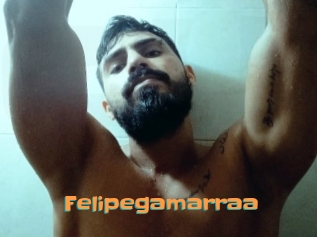 Felipegamarraa