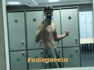 Fellixgarcia