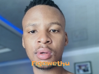 Figowethu