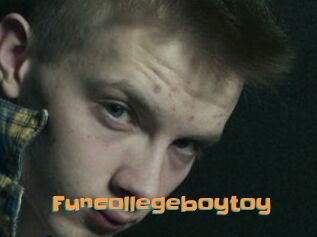 Funcollegeboytoy