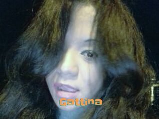 Gattina