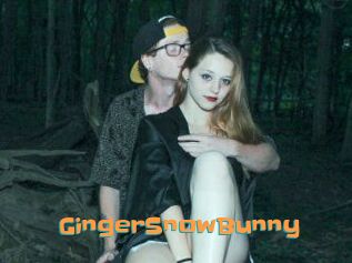GingerSnowBunny