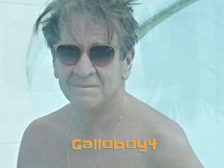 Galloboy4
