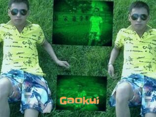 Gaokui