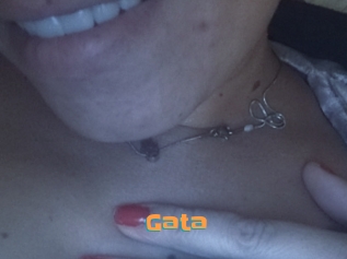 Gata