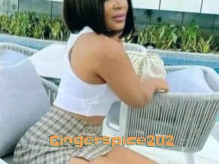 Gingerspice202