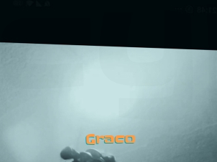 Graco
