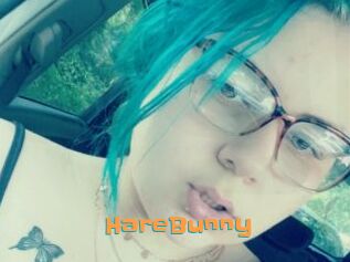 HareBunny