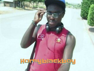 Hornyblackboy