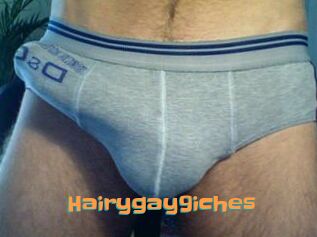 Hairygay9iches