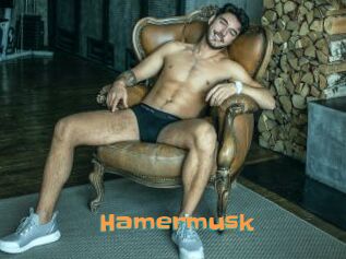 Hamermusk