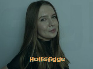 Hollisfigge