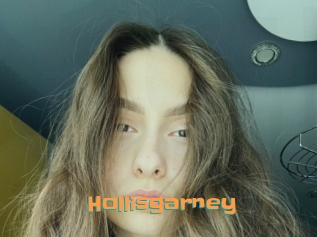 Hollisgarney
